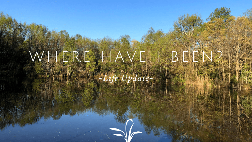Where Have I Been? – Life&nbsp;Update