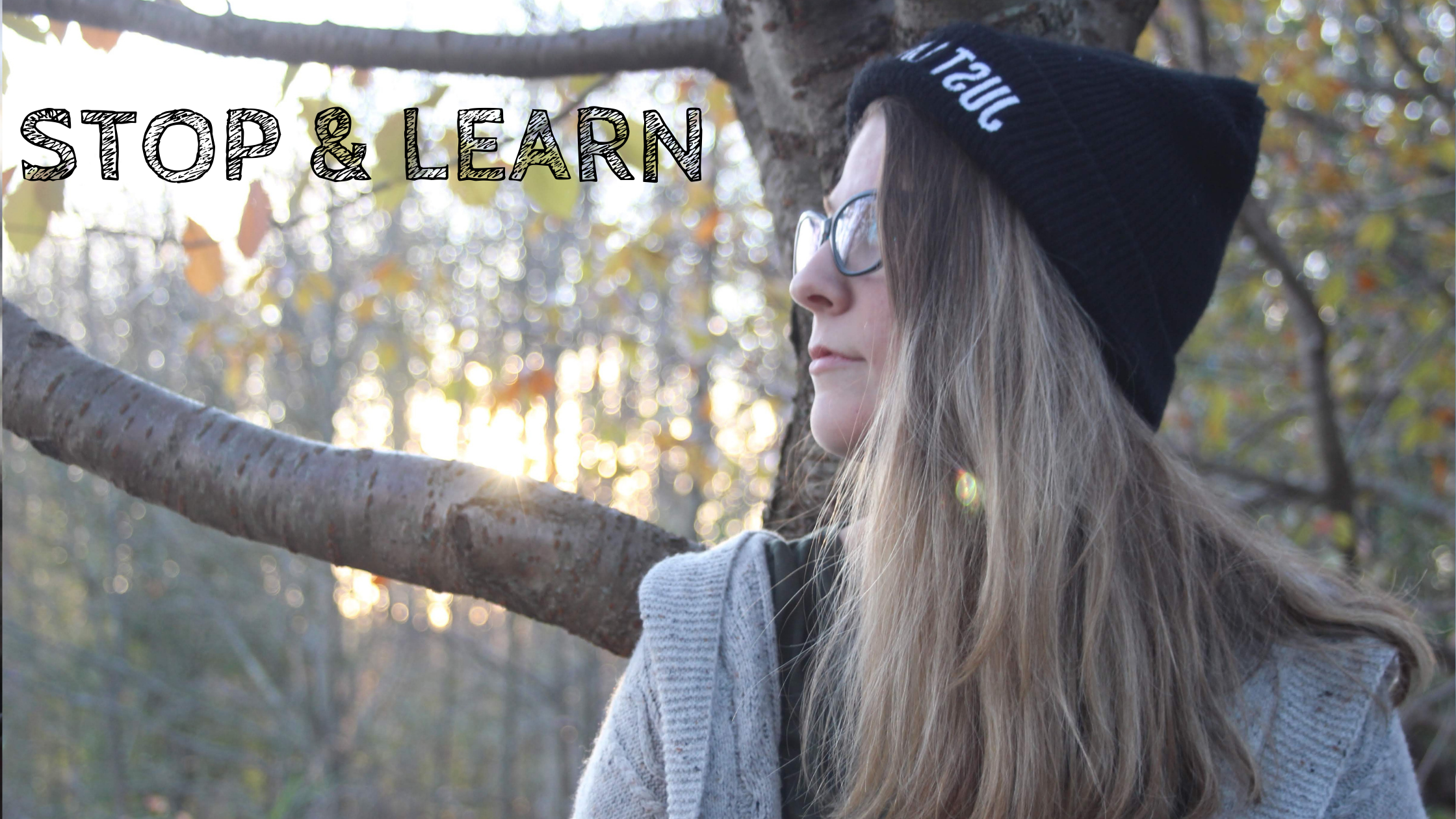 Stop & Learn