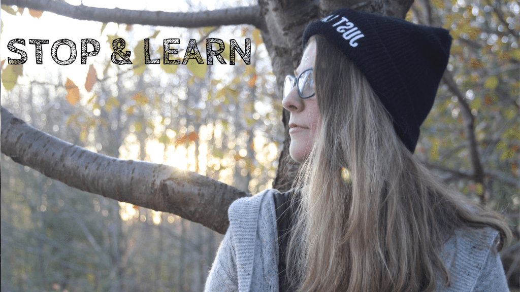Stop & Learn