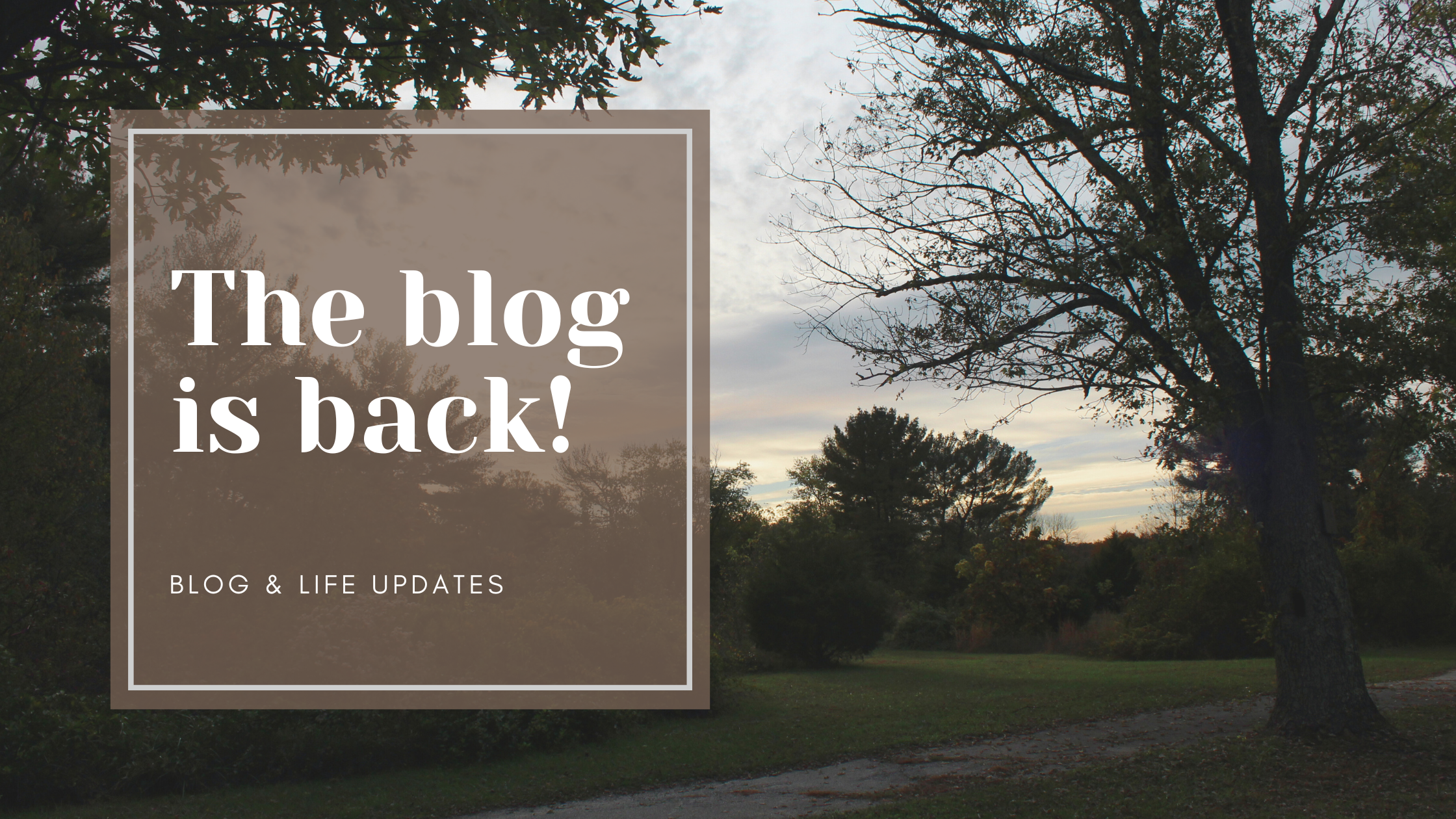 The blog is back!